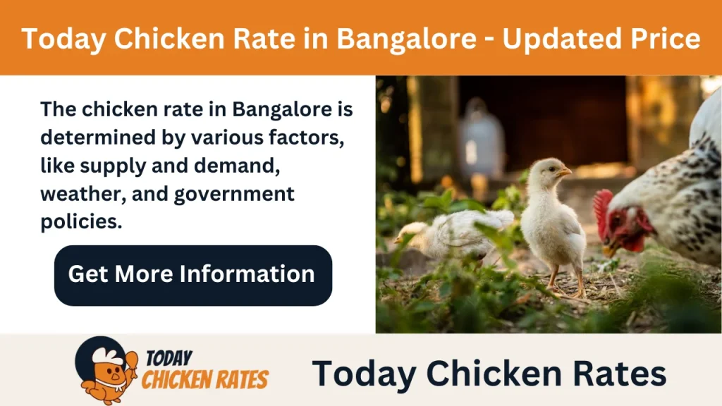 today-egg-rate-in-pakistan-latest-prices-03-june-2025